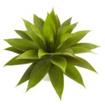 Alternate angle of the 24 inch Agave in Sand Colored Bowl wreath bow showing wreath