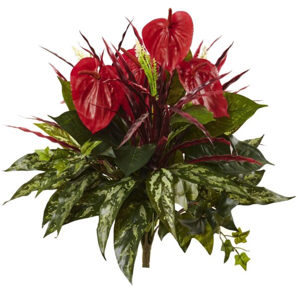 24' Mixed Anthurium Bush Set of 2