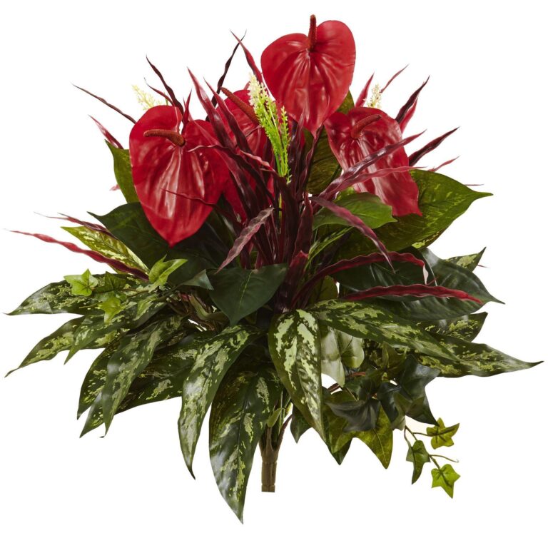 24' Mixed Anthurium Bush Set of 2