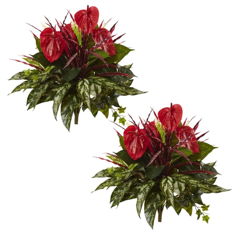 Close-up of craft detail close-up on this 24' Mixed Anthurium Bush Set of 2