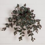 24 inch UV Resistant Artificial Wandering Jew Hanging Plant Indoor Outdoor - Set of 3