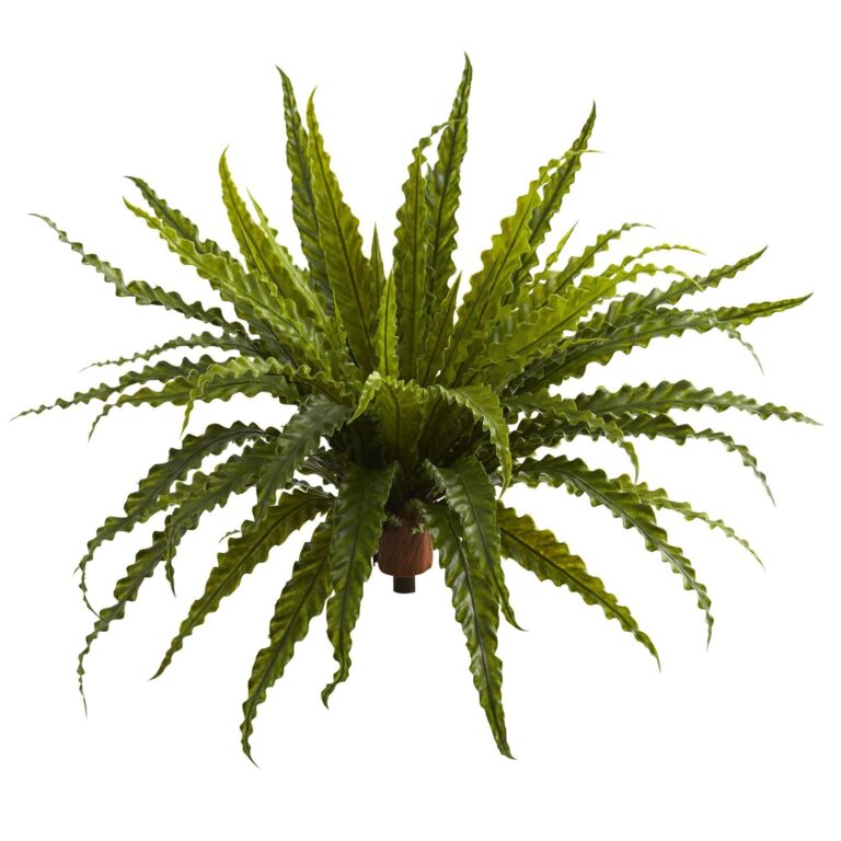 26' Asplenium Artificial Plant Set of 2
