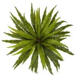Alternate angle of the 26' Asplenium Artificial Plant Set of 2 showing full plant from