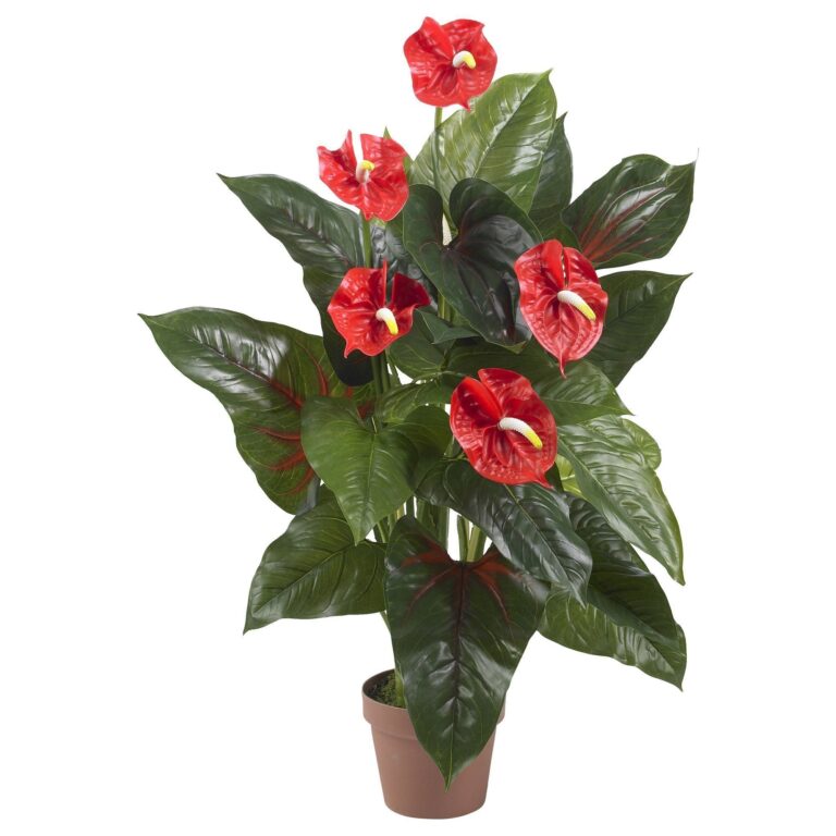 3' Anthurium Silk Plant Real Touch
