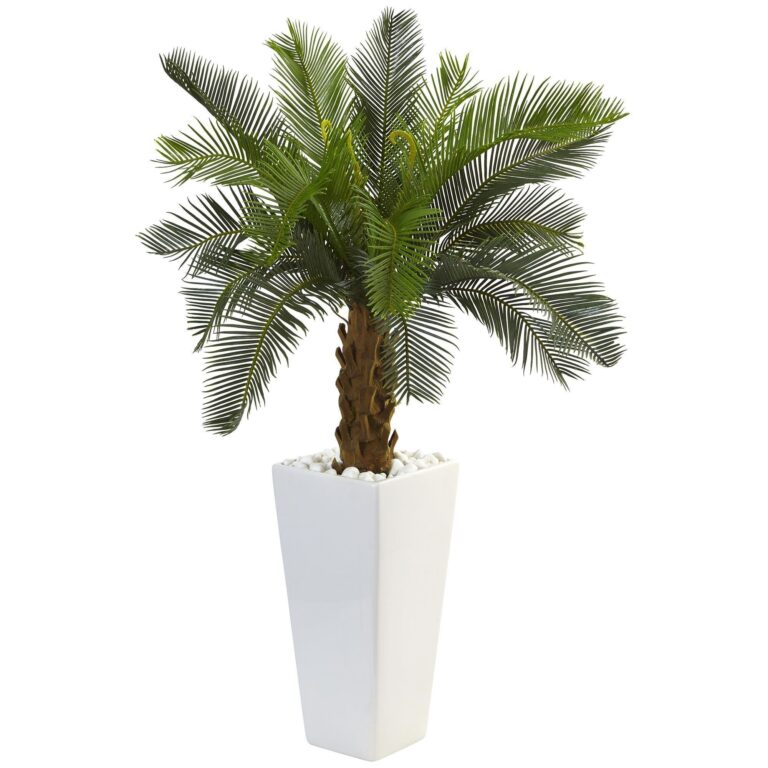 3' Cycas Tree in White Tower Planter