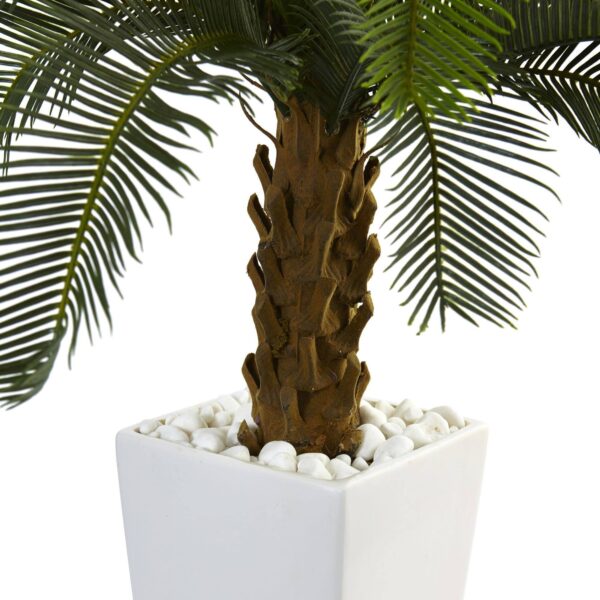 Close-up of leaf foliage texture on this 3' Cycas Tree in White Tower Planter