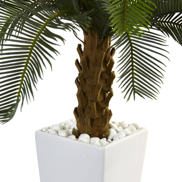 Close-up of leaf foliage texture on this 3' Cycas Tree in White Tower Planter