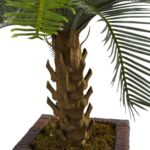 Close-up of leaf foliage texture on this 3' Cycas Tree in Wood Planter