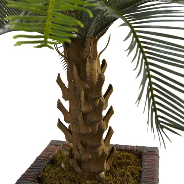 Close-up of leaf foliage texture on this 3' Cycas Tree in Wood Planter