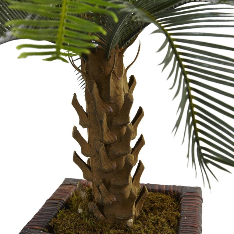 Close-up of leaf foliage texture on this 3' Cycas Tree in Wood Planter