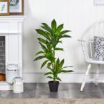 Detail view of planter detail from the 3' Dracaena Artificial Plant Real Touch