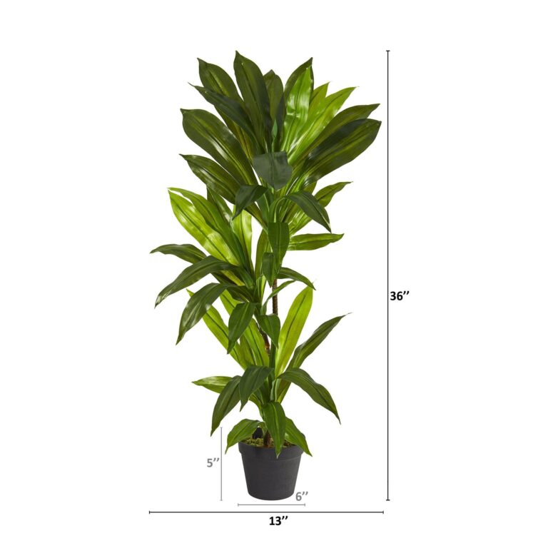 Close-up of leaf foliage texture on this 3' Dracaena Artificial Plant Real Touch