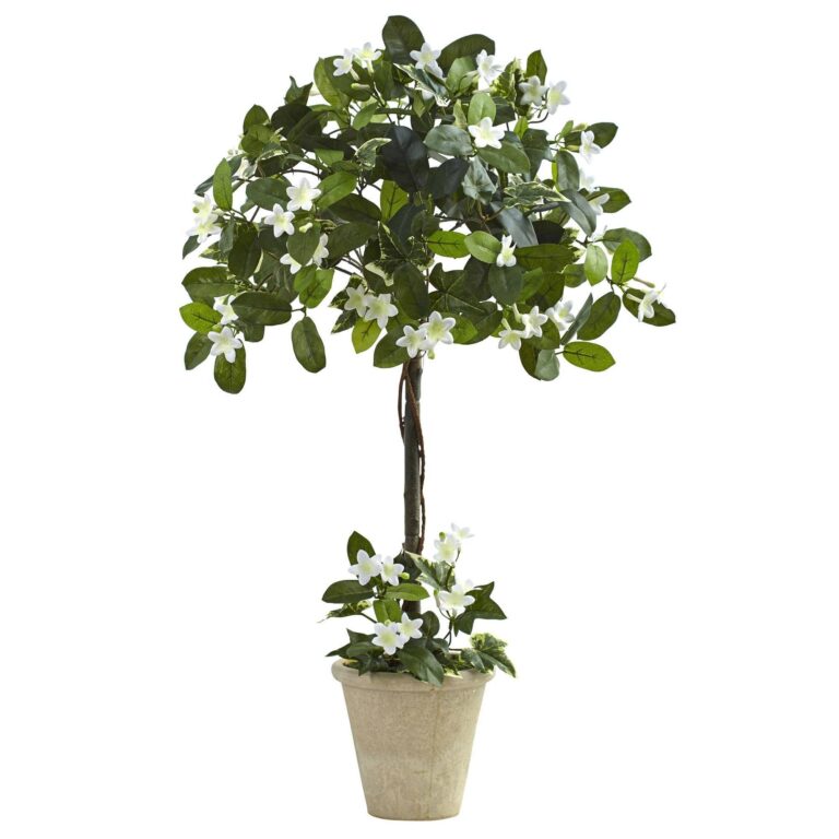 3' Stephanotis Topiary w Planter