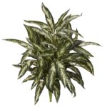 30' Aglonema Artificial Plant Set of 3