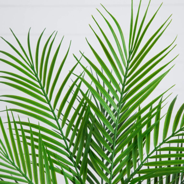 Close-up of leaf foliage texture on this 30 inch Artificial Palm Tree