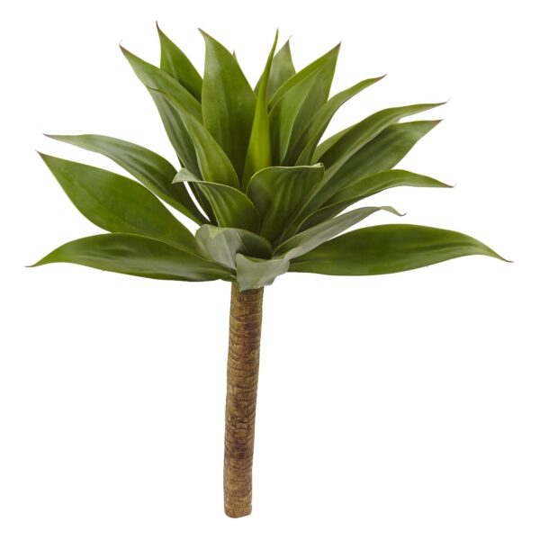 32' Agave Plant w Stem