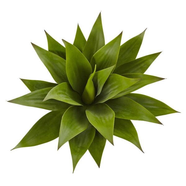 Close-up of bloom tips on this 32' Agave Plant w Stem