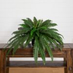 32' Artificial Self - Shaped Boston Fern Plan in Black Planter