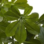 Close-up of leaf foliage texture on this 32 inch Green Baby Schefflera Schefflera Artificial Plant