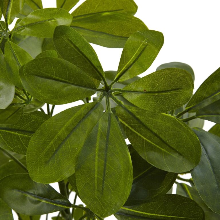 Close-up of leaf foliage texture on this 32 inch Green Baby Schefflera Schefflera Artificial Plant