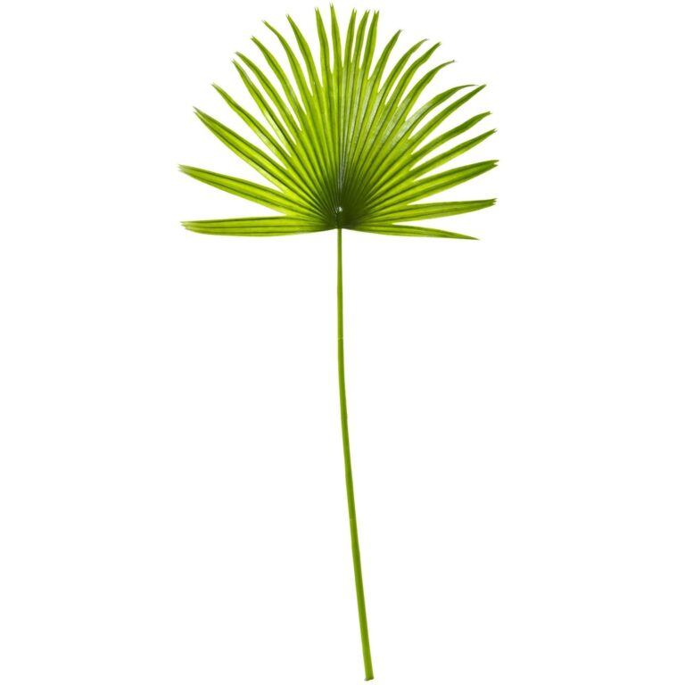 33 inch Fan Palm Artificial Spray Plant Set of 6