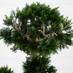 Close-up of craft detail close-up on this 36 inch Artificial Cedar Bonsai