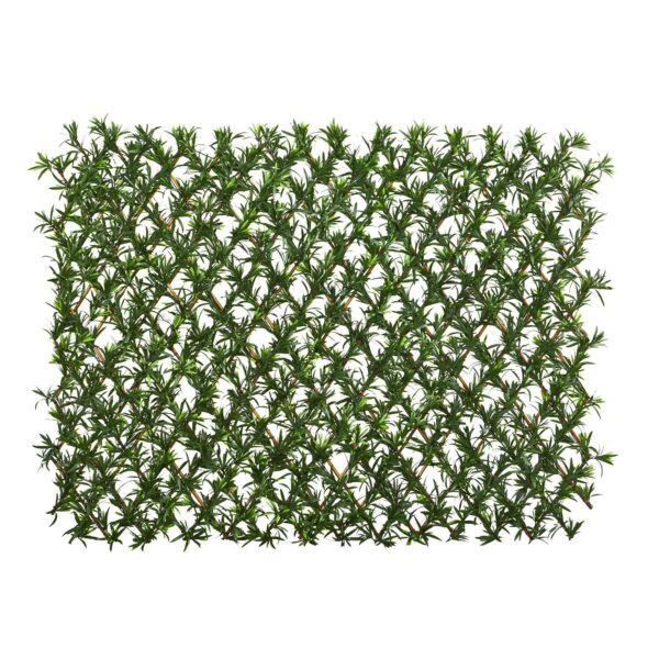 39' Podocarpus Expandable Fence UV Resistant and Waterproof Trellis