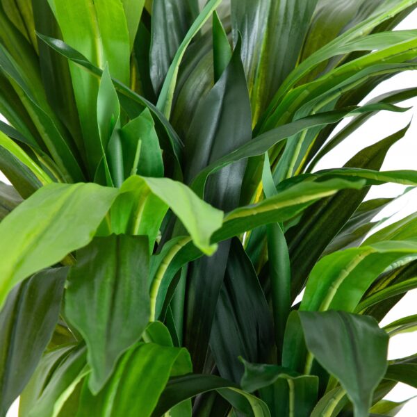 Close-up of leaf foliage texture on this 4' Corn Stalk Dracaena Silk Plant Real Touch