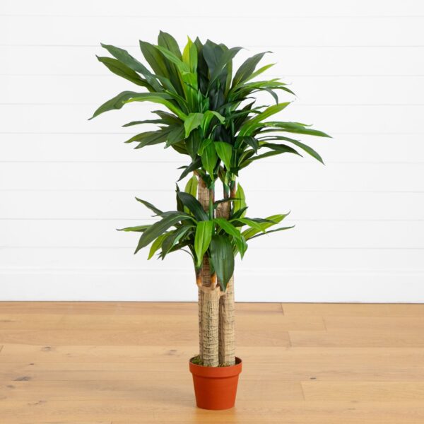 4' Corn Stalk Dracaena Silk Plant Real Touch