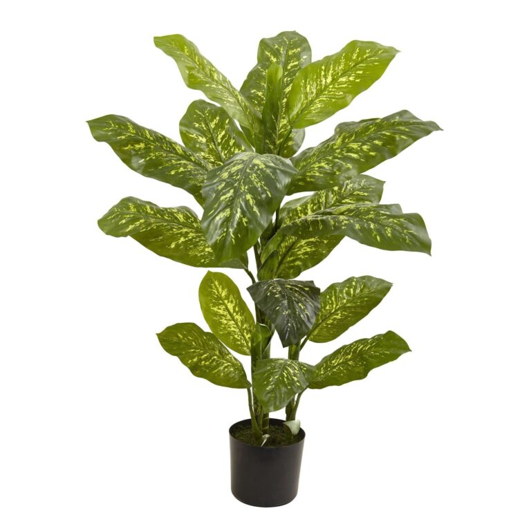 4' Dieffenbachia Plant Real Touch