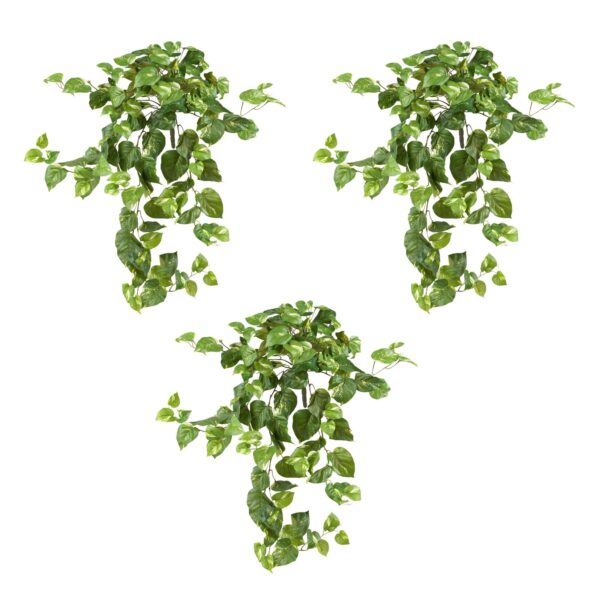 Close-up of craft detail close-up on this 40' Pothos Hanging Bush Set of 3