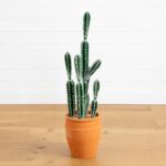 41' Artificial Cactus in Terracotta Planter
