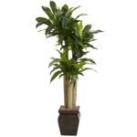 4.5' Cornstalk Dracaena Tree with Decorative Vase Real Touch