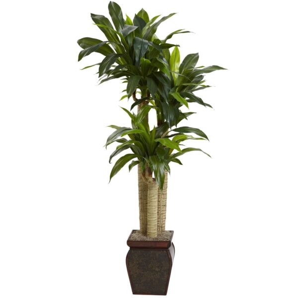 4.5' Cornstalk Dracaena Tree with Decorative Vase Real Touch