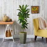 Alternate angle of the 4.5' Dracaena Artificial Plant Green Planter Real Touch showing full plant
