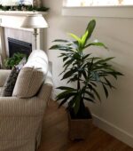 Side view of the 48 inch Dracaena Silk Plant Real Touch revealing frond and leaf