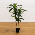 Alternate angle of the 48 inch Dracaena Silk Plant Real Touch showing full plant from