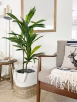 Close-up detail capturing leaf foliage texture of the 48 inch Dracaena Silk Plant Real Touch