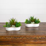5 inch Artificial Succulent Garden in Ceramic White Planter - Set of 2