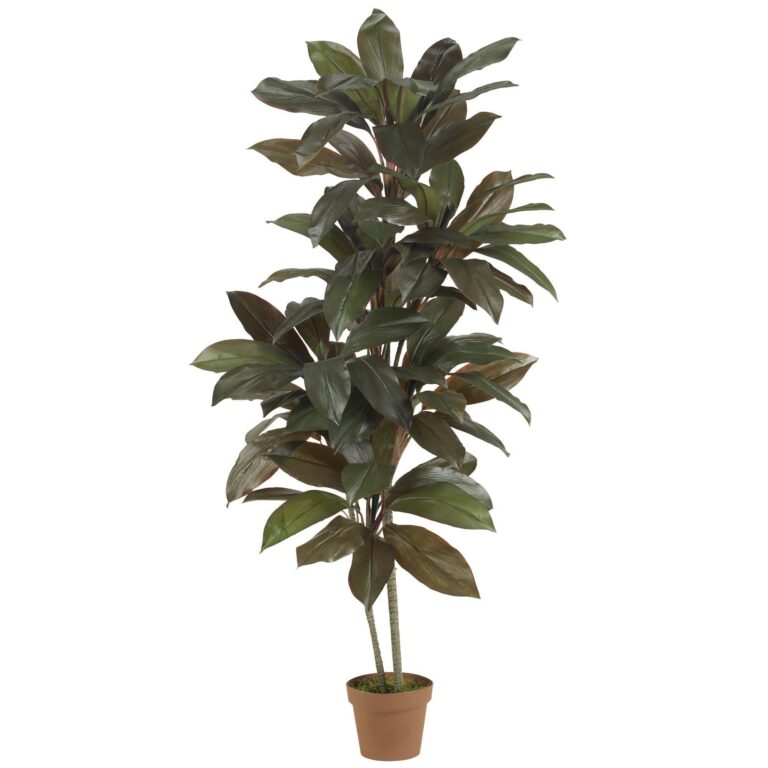 5' Cordyline Silk Plant Real Touch