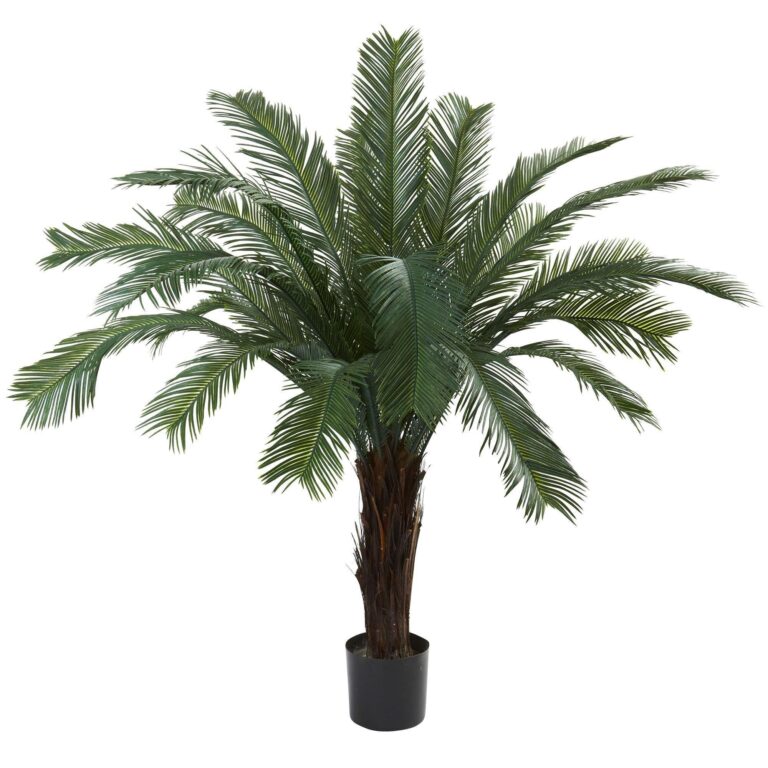 5' Cycas Tree UV Resistant In - door Out - Door