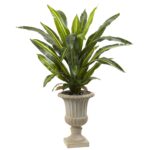 5' Dracaena Plant with Urn Real Touch