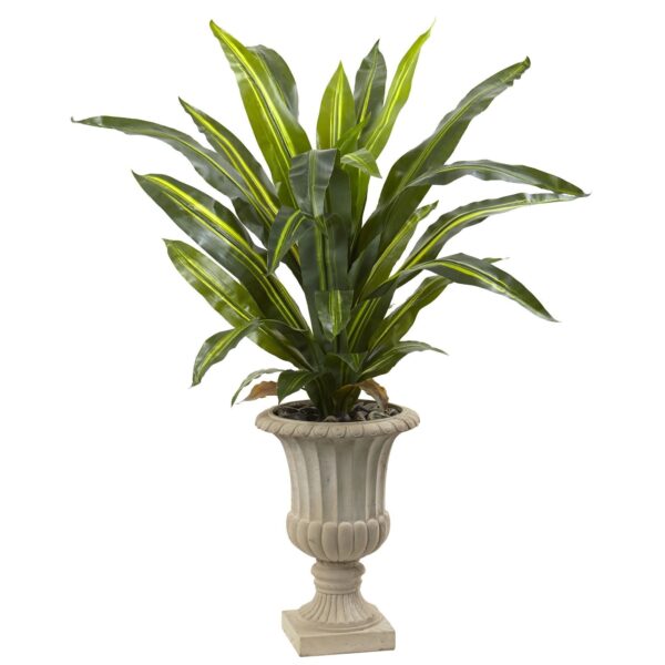 5' Dracaena Plant with Urn Real Touch