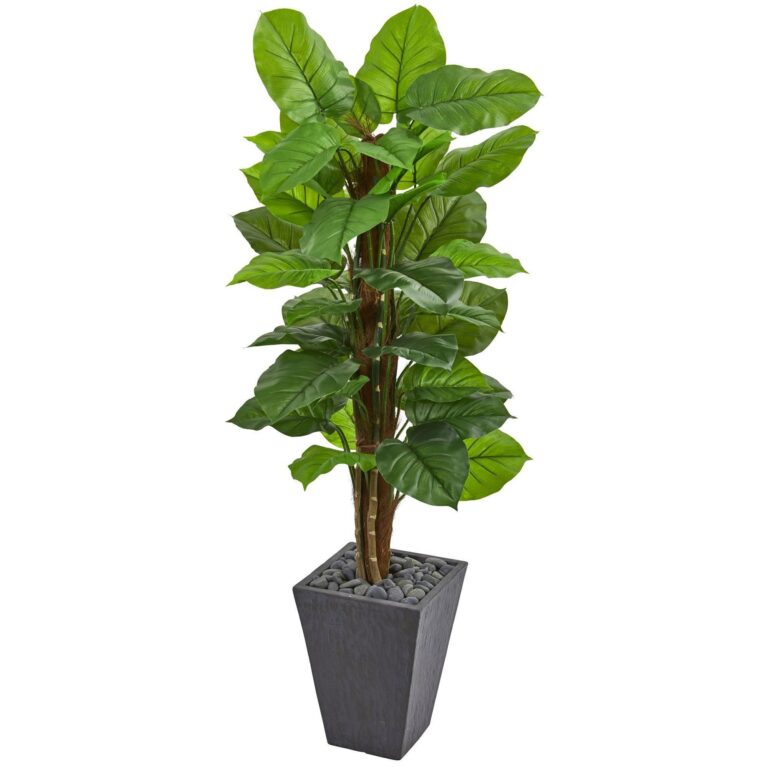 5' Large Leaf Philodendron Artificial Plant in Slate Planter Real Touch
