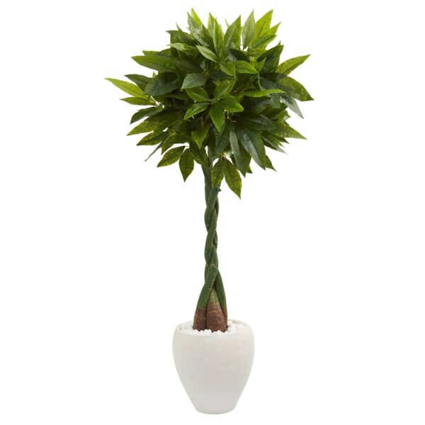 4.5' Money Artificial Tree in White Oval Planter Real Touch