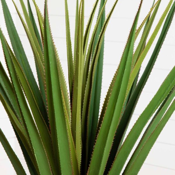 Close-up of leaf foliage texture on this 5' Spiked Agave Tree