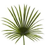 Close-up of bloom tips on this 50 inch Fan Palm Spray Spray Artificial Plant