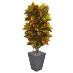 5.5' Croton Artificial Plant in Slate Planter Real Touch