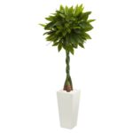 5.5' Money Artificial Tree in White Tower Planter Real Touch