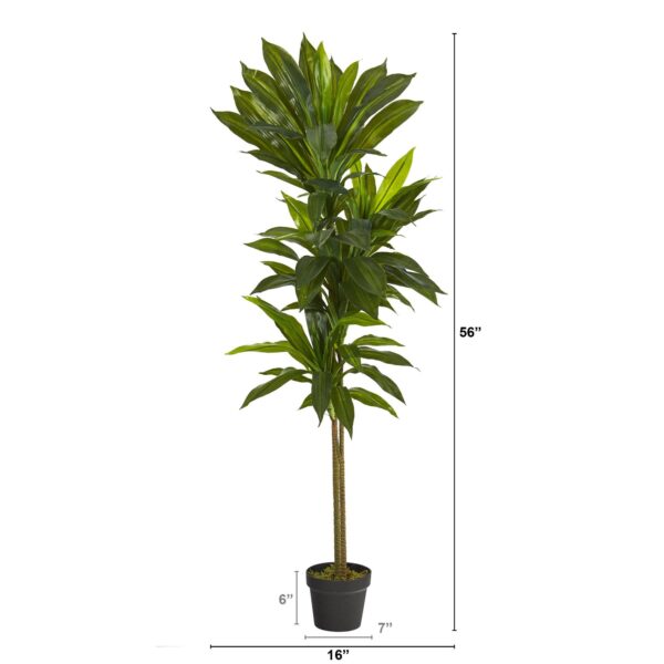 Close-up of leaf foliage texture on this 56' Dracaena Artificial Plant Real Touch